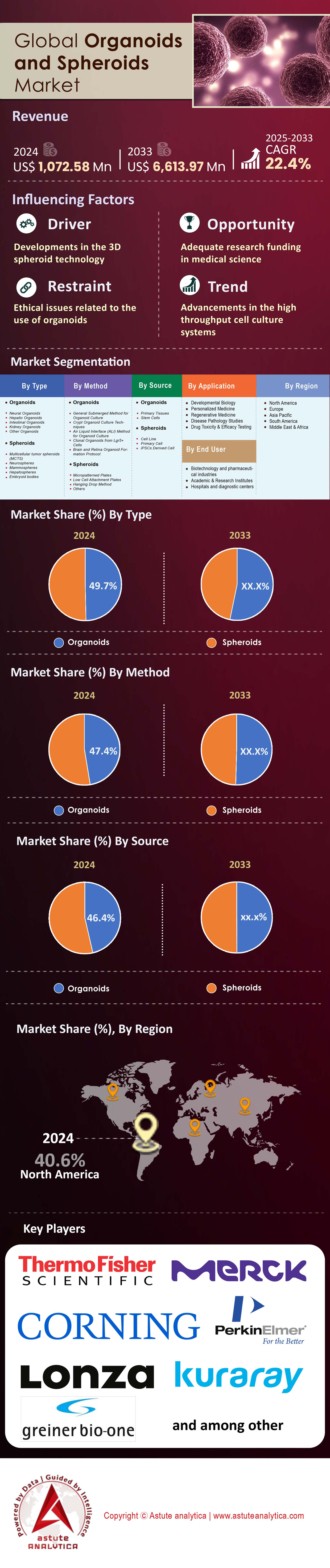 Organoids And Spheroids Market